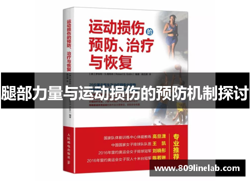 腿部力量与运动损伤的预防机制探讨